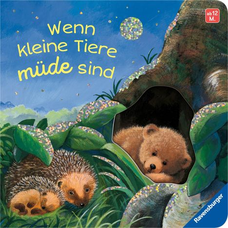 Cover/Produkt Ansicht vergrößern