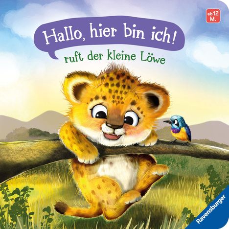 "Hallo, hier bin ich!" ruft der kleine Löwe. Ein niedliches Löwenjunges baumelt fröhlich an einem Ast mit einem bunten Vogel.