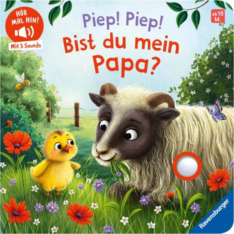 Bernd Penners: Hör mal hin - Piep! Piep! Bist du mein Papa?, Buch