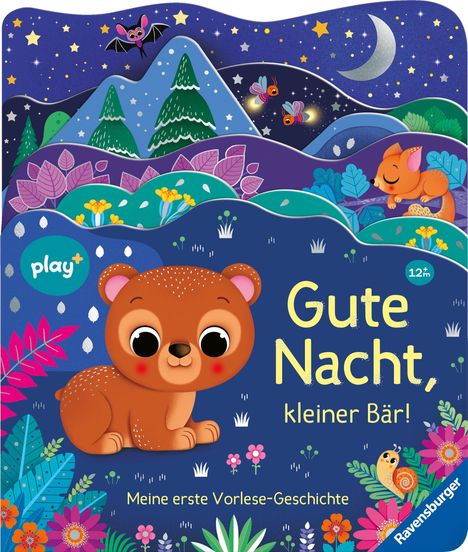 "Gute Nacht, kleiner Bär! Meine erste Vorlese-Geschichte. Ein niedlicher Bär mit bunten Pflanzen, unter klarem Sternenhimmel."