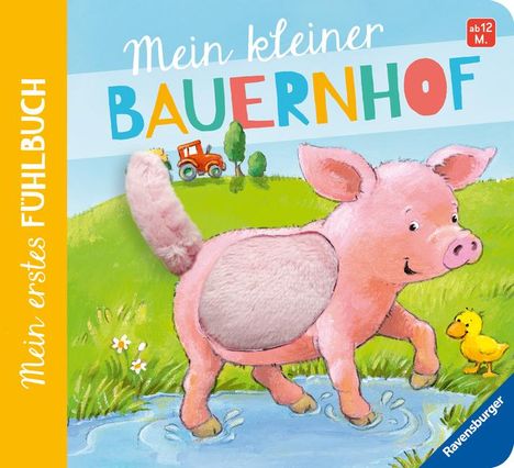 Sandra Grimm: Mein erstes Fühlbuch: Mein kleiner Bauernhof, Buch