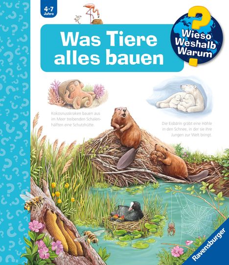 Text: "Was Tiere alles bauen". Kokosnusskraken, Biber und Eisbären bauen Behausungen. 

Illustration: Tiere in natürlichen Umgebungen mit Nestern und Bauten.