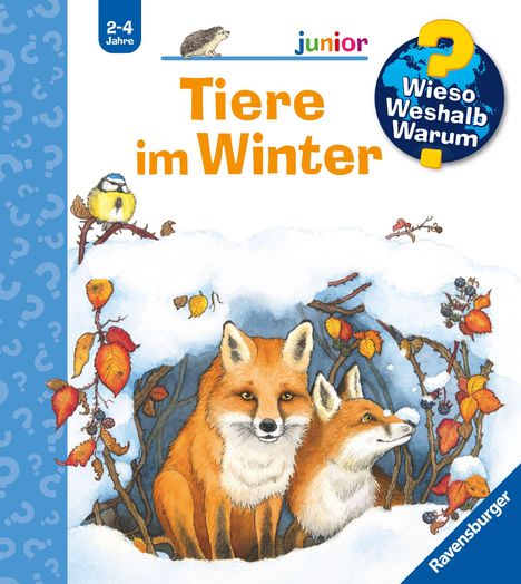 Vorderseite eines Kinderbuchs mit dem Titel "Tiere im Winter". Illustration zweier Füchse im Schnee, umgeben von bunten Blättern.