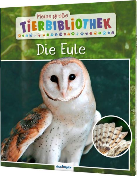 Jens Poschadel: Meine große Tierbibliothek: Die Eule, Buch