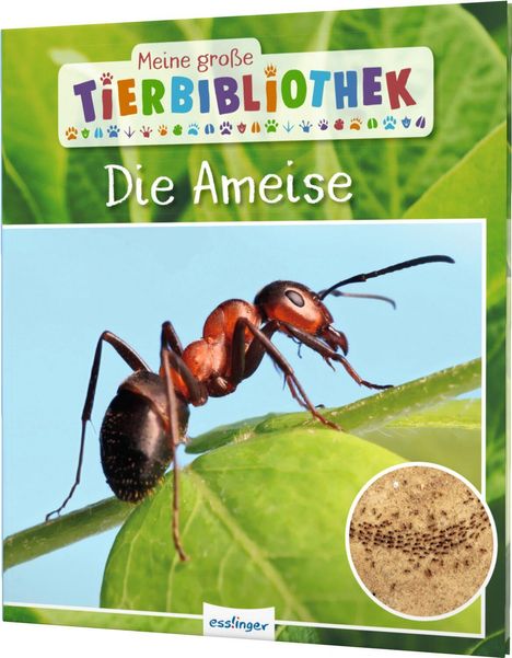 Axel Gutjahr: Meine große Tierbibliothek: Die Ameise, Buch