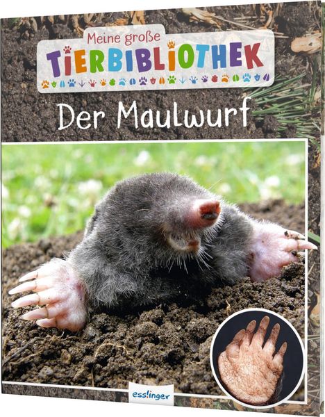 Jens Poschadel: Meine große Tierbibliothek: Der Maulwurf, Buch