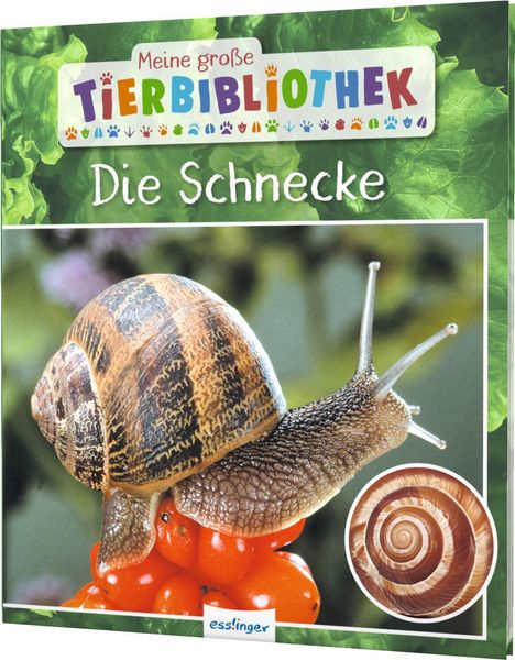 Paul Starosta: Meine große Tierbibliothek: Die Schnecke, Buch