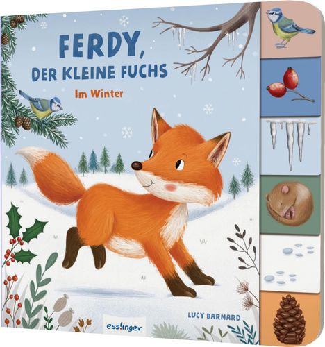 Anja Kiel: Mein erstes Jahreszeitenbuch: Ferdy, der kleine Fuchs, Buch