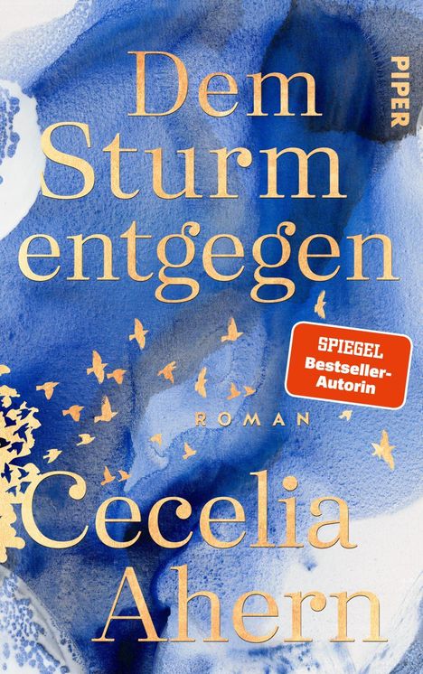 Cecelia Ahern: Dem Sturm entgegen, Buch