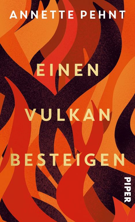 Annette Pehnt: Einen Vulkan besteigen, Buch