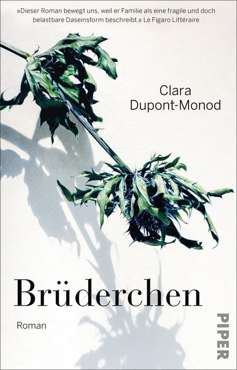 Clara Dupont-Monod: Brüderchen, Buch