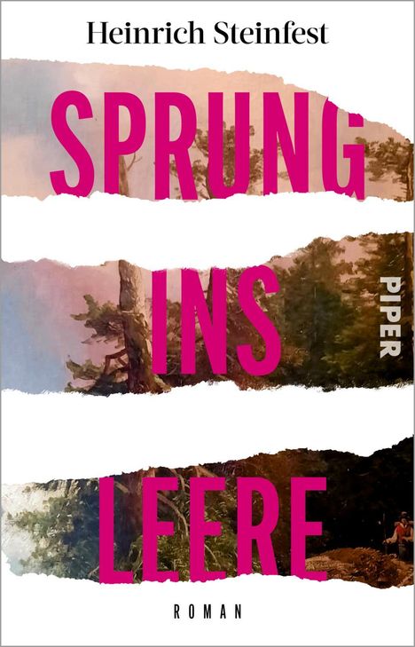 Heinrich Steinfest: Sprung ins Leere, Buch