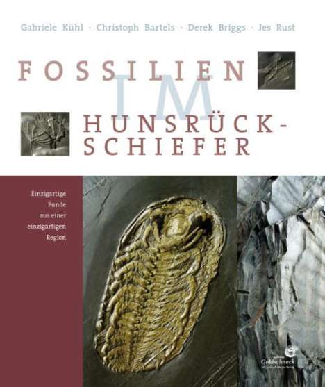 Gabriele Kühl: Fossilien im Hunsrück Schiefer, Buch