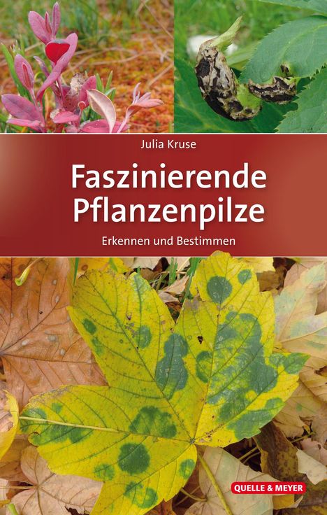 Julia Kruse: Faszinierende Pflanzenpilze, Buch
