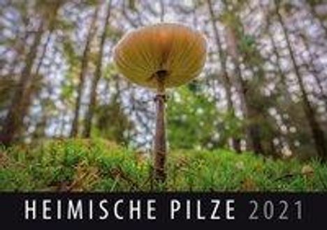 Heimische Pilze 2021, Kalender