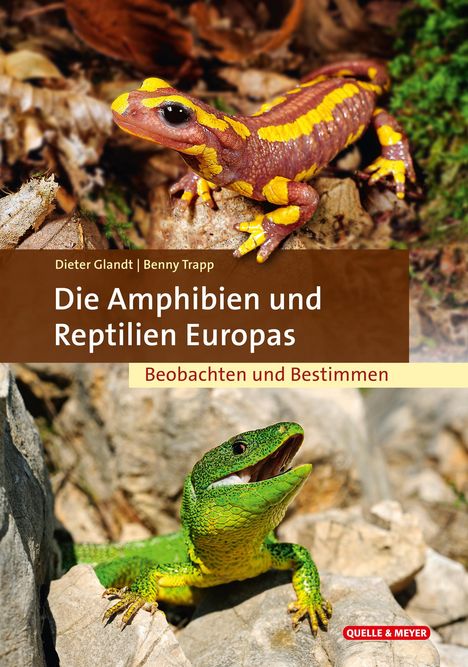 Dieter Glandt: Die Amphibien &amp; Reptilien Europas, Buch