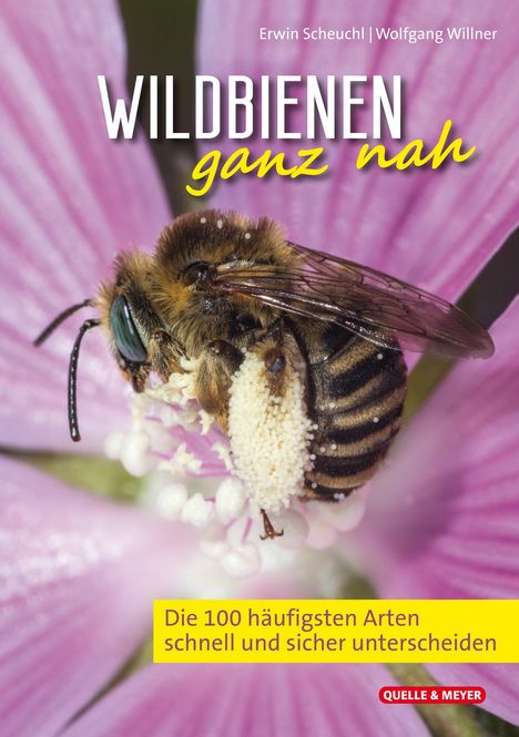 Erwin Scheuchl: Wildbienen ganz nah, Buch