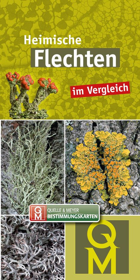 10er-Set: Heimische Flechten im Vergleich, Buch