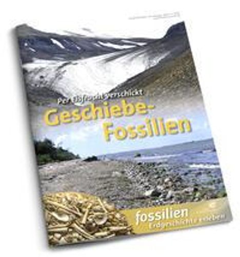 Jens Lehmann: Geschiebe-Fossilien, Buch
