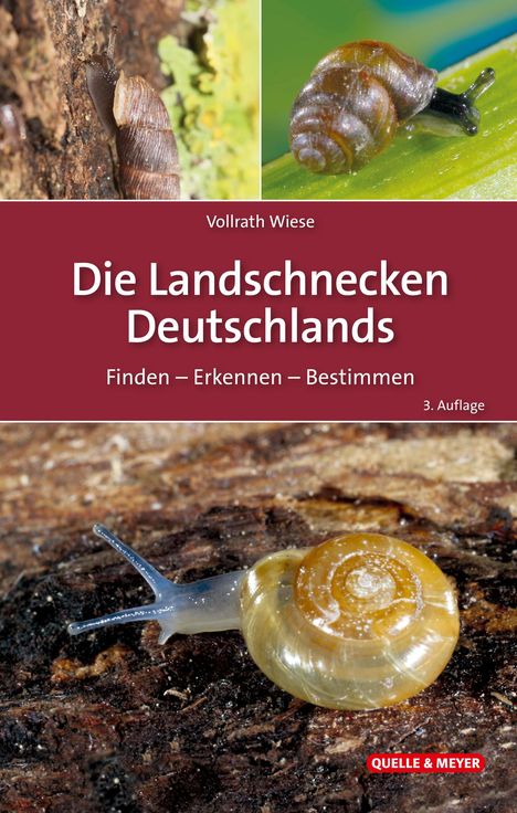 Vollrath Wiese: Die Landschnecken Deutschlands, Buch