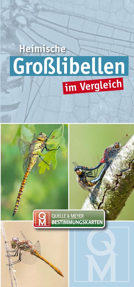 Heimische Großlibellen im Vergleich. 10er-Set, Buch