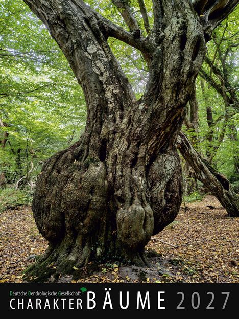 "Deutsche Dendrologische Gesellschaft, CHARKTERBÄUME 2027." Alter Baum im Wald mit verdrehtem, knorrigem Stamm.