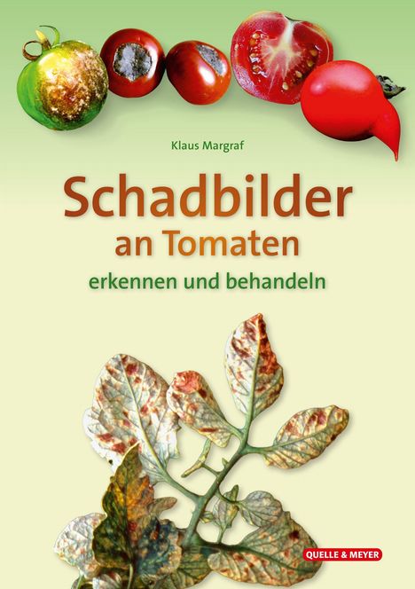 „Schadbilder an Tomaten erkennen und behandeln“ von Klaus Margraf. Oben befallene Tomaten, unten blättriger Zweig.