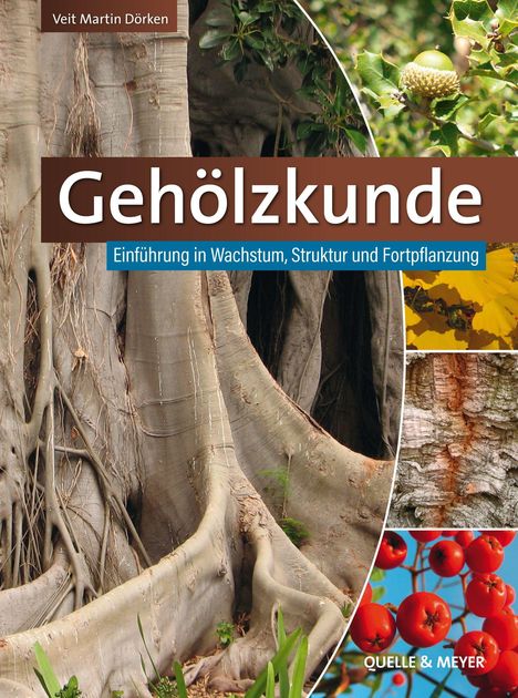 Titel: "Gehölzkunde". Untertitel: "Einführung in Wachstum, Struktur und Fortpflanzung". Bilder von Baumrinde, Blättern und Beeren.