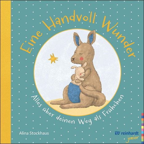 Alina Stockhaus: Eine Hand voll Wunder, Buch