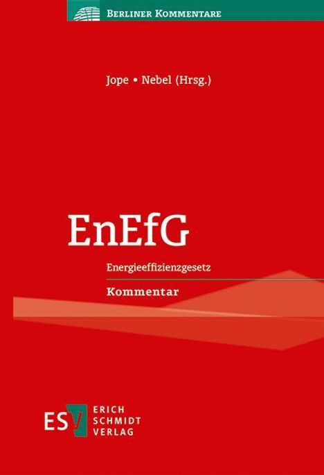 EnEfG, Buch