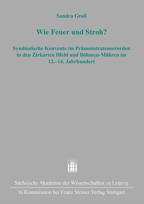 Sandra Groß: Wie Feuer und Stroh?, Buch
