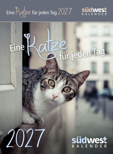 „Eine Katze für jeden Tag 2027“, „südwest Kalender“. Ein neugieriger Blick einer Katze mit getigertem Fell.