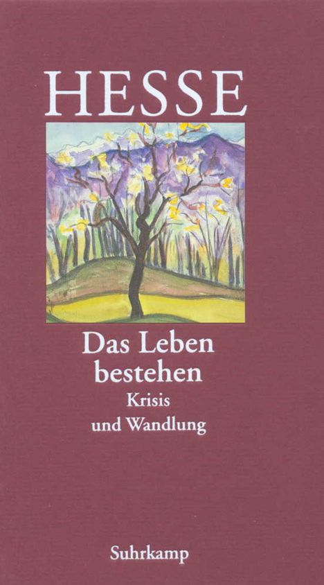 Hermann Hesse: »Das Leben bestehen«, Buch