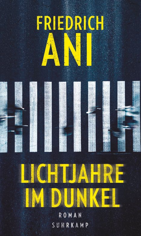 Friedrich Ani: Lichtjahre im Dunkel, Buch