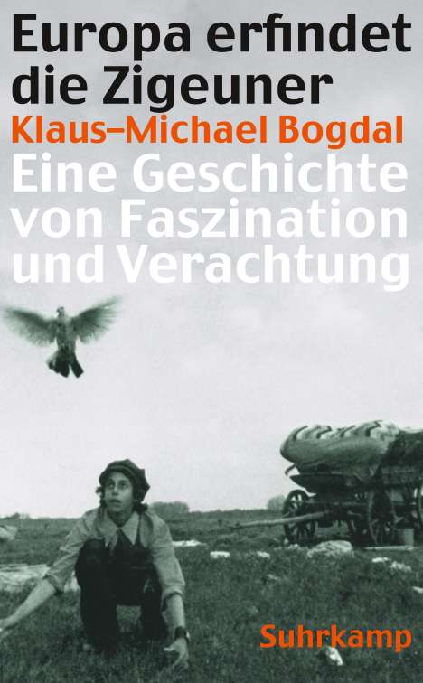 Klaus-Michael Bogdal: Europa erfindet die Zigeuner, Buch