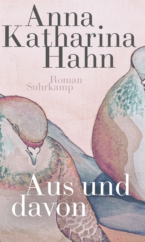 Anna Katharina Hahn: Aus und davon, Buch