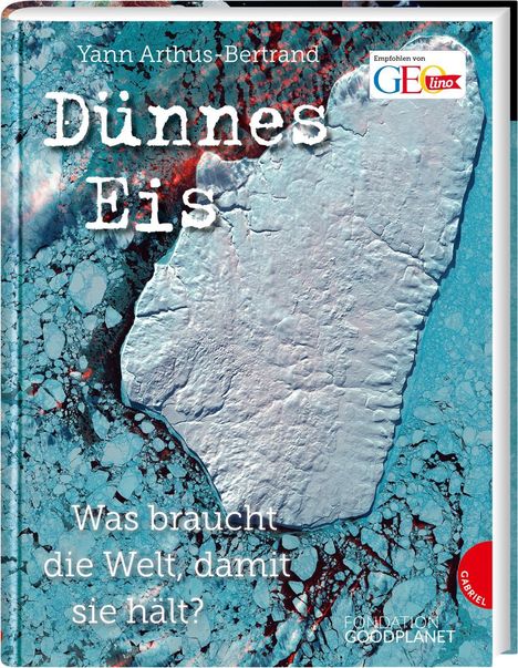 Anne Jankéliowitch: Dünnes Eis, Buch