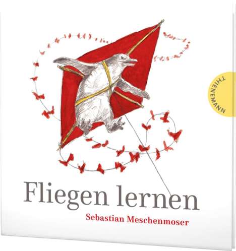 Sebastian Meschenmoser: Fliegen lernen, Buch