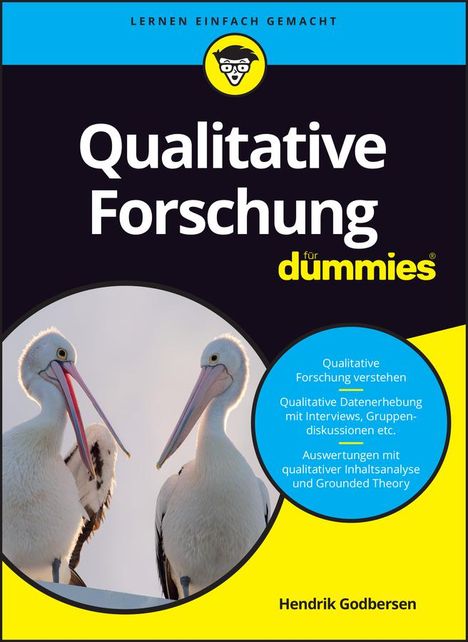 Hendrik Godbersen: Qualitative Forschung für Dummies, Buch