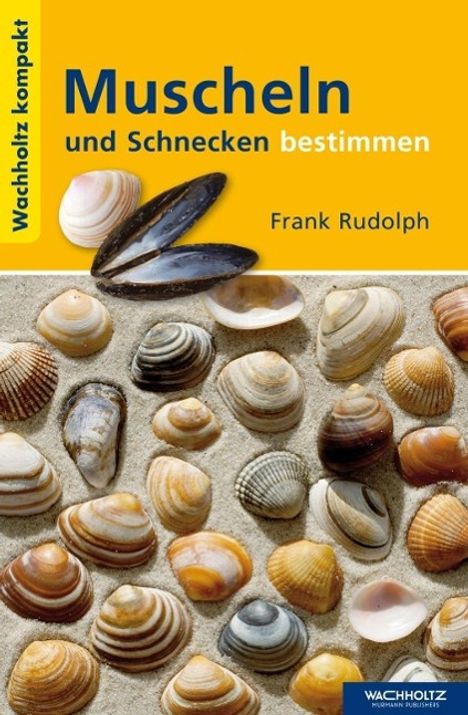 Frank Rudolph: Rudolph, F: Muscheln und Schnecken bestimmen, Buch