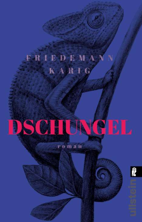 Friedemann Karig: Dschungel, Buch