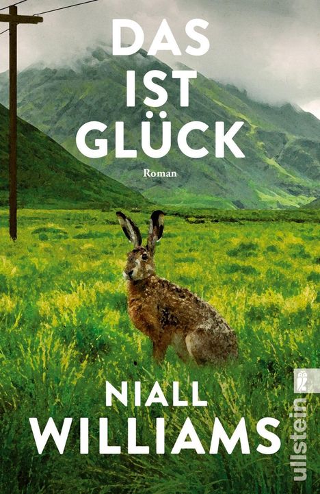 „Das ist Glück, Roman, Niall Williams“. Ein Hase auf einer Wiese vor grünen Bergen, links ein Strommast.
