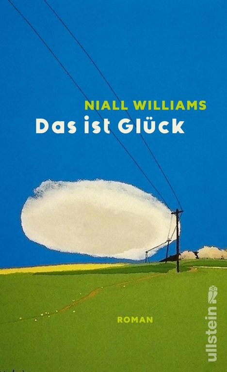 Niall Williams: Das ist Glück, Buch