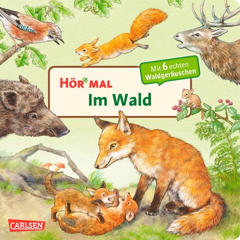 Anne Möller: Hör mal (Soundbuch): Im Wald, Buch