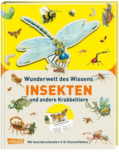 Melanie Hilbert: Hibbert, M: Wunderwelt des Wissens - Insekten und andere Kra, Buch