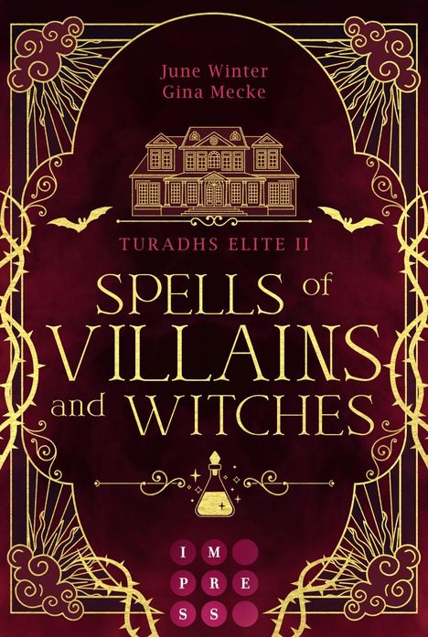 Gina Mecke: Spells of Villains and Witches (Turadhs Elite 2), Buch