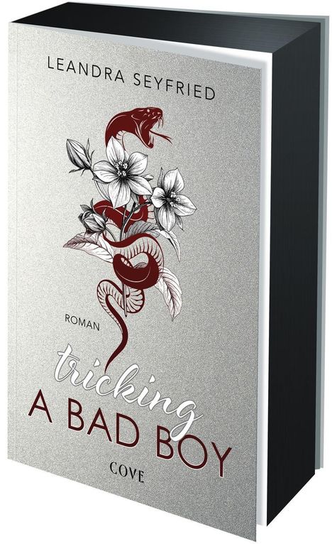 Leandra Seyfried: Tricking A Bad Boy (Sons of Chicago 1), Buch