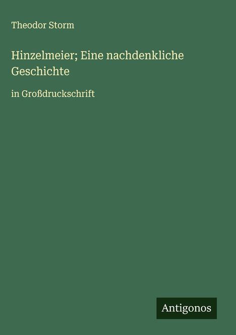Theodor Storm: Hinzelmeier; Eine nachdenkliche Geschichte, Buch