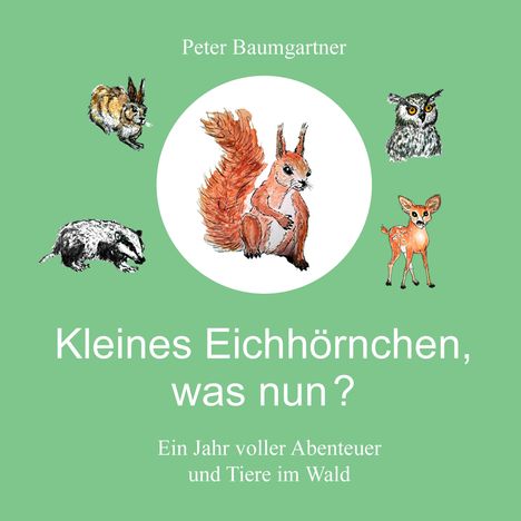 „Peter Baumgartner: Kleines Eichhörnchen, was nun? Ein Jahr voller Abenteuer und Tiere im Wald.“ Illustration von Waldtieren.