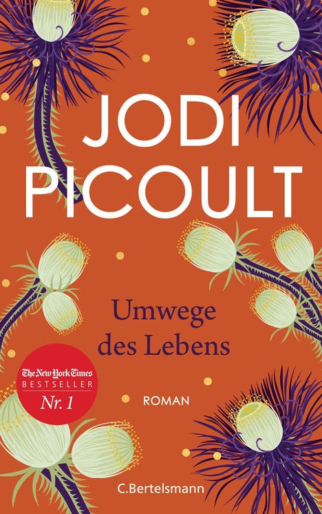 Jodi Picoult: Umwege des Lebens, Buch